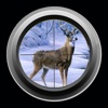 Sniper Deer Hunting : Shooting Jungle Wild Beast 3d Free Game