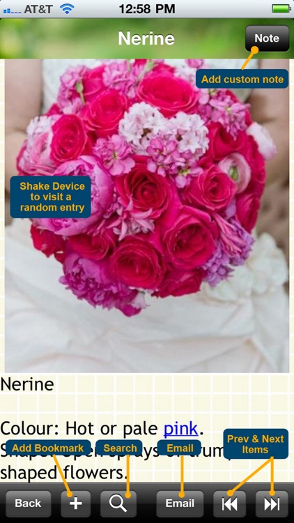 120 Wedding Flower List screenshot-3