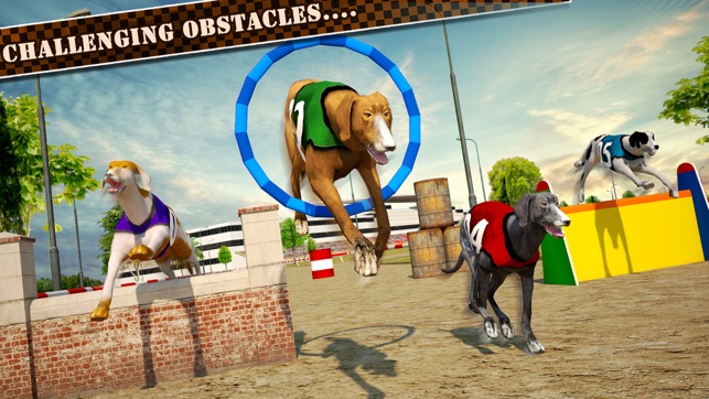 Dog Race & Stunts 2016(圖4)-速報App