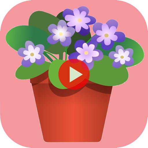 Learn Indoor Gardening for Every Month of The Year icon