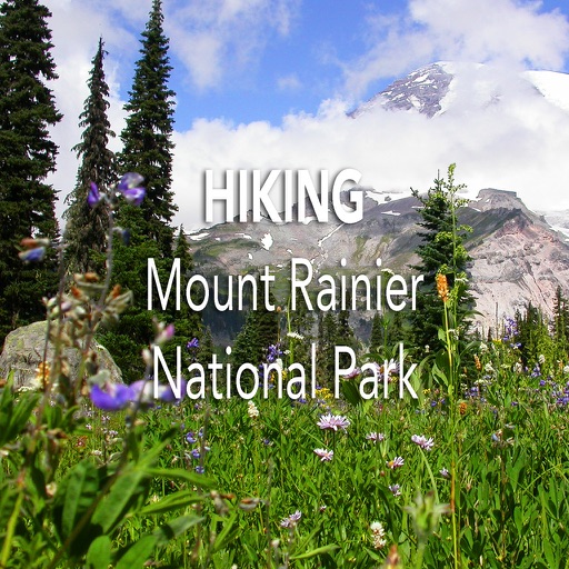 Hiking Mount Rainier National Park