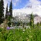Mount Rainier National Park, located in the state of Washington, offers many amazing hikes