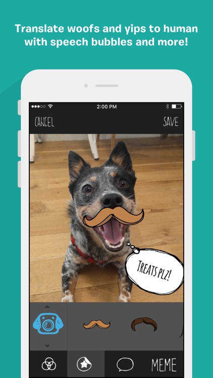 BarkCam screenshot-3