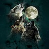 Wolf Howling Wallpapers HD: Quotes,Art Pictures