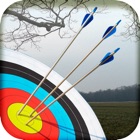 Archery Master 3D Advance