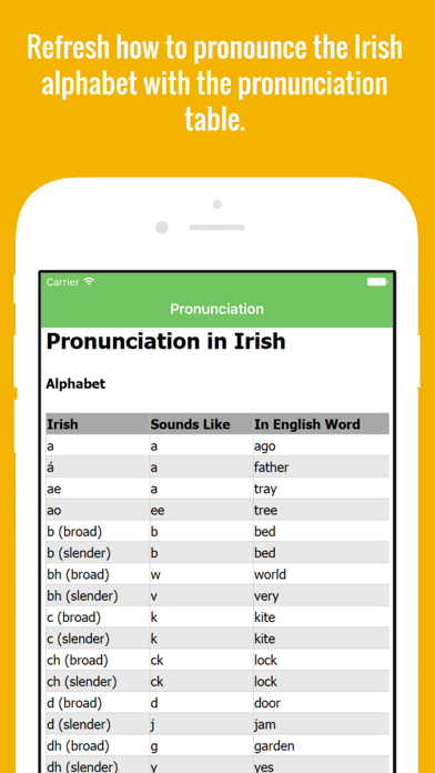 How to cancel & delete Irish Flashcards with Pictures Lite from iphone & ipad 2