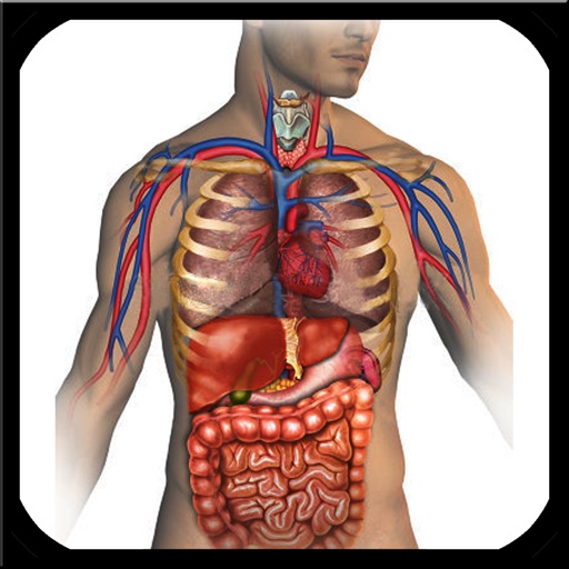 Atlas of Anatomy for iPad