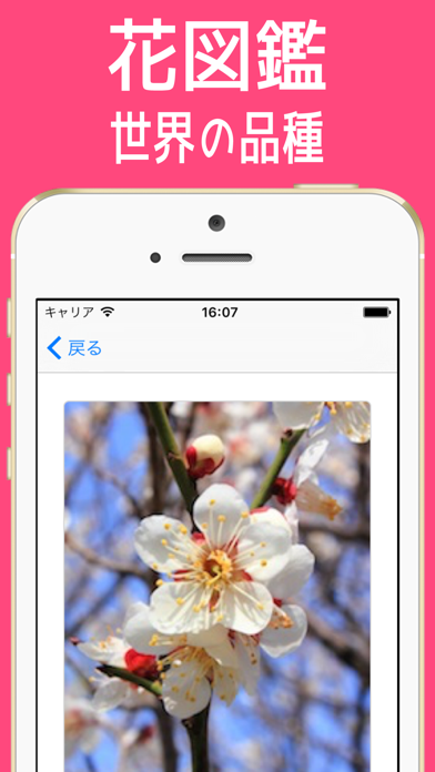 はな図鑑 世界の品種 =花 143種類= screenshot1