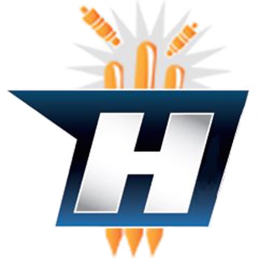 Hitwicket Match Viewer Icon