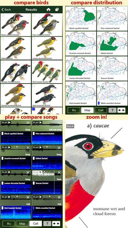 All Birds Northern South America - a field guide to all the species recorded in Ecuador, Colombia, Guiana, Peru, Venezuela