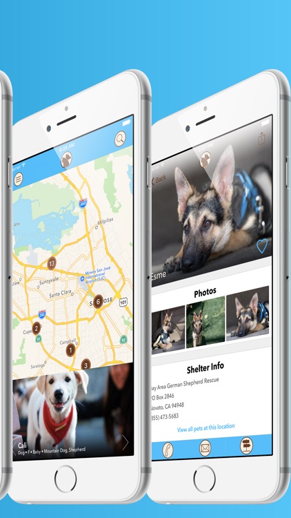 coMpanion - Pet Finder and Adoption Assistant