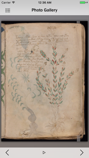 Voynich Manuscript Guide(圖3)-速報App