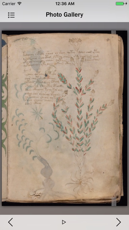 Voynich Manuscript Guide