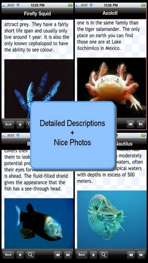 Weirdest Sea Creatures(圖4)-速報App