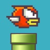 Flappy brave bird back