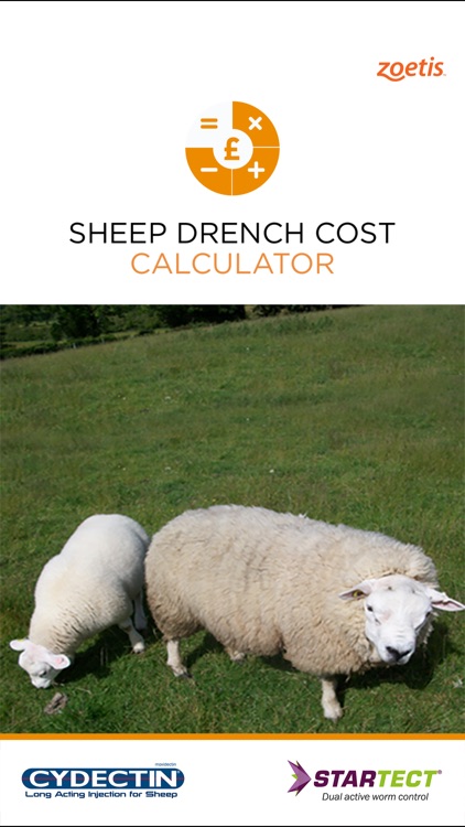 Sheep Drench Cost Calculator