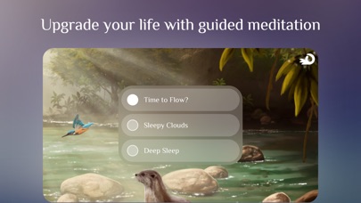 Flowing ~ Meditation ... screenshot1