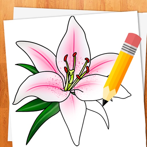 water lily flower drawing, a branch of the botanical spring collection, ink  illustration vector art of waterlily bouquet, hand-drawn artistically,  Egyptian lotus , easy flower coloring pages and book 35943868 Vector Art