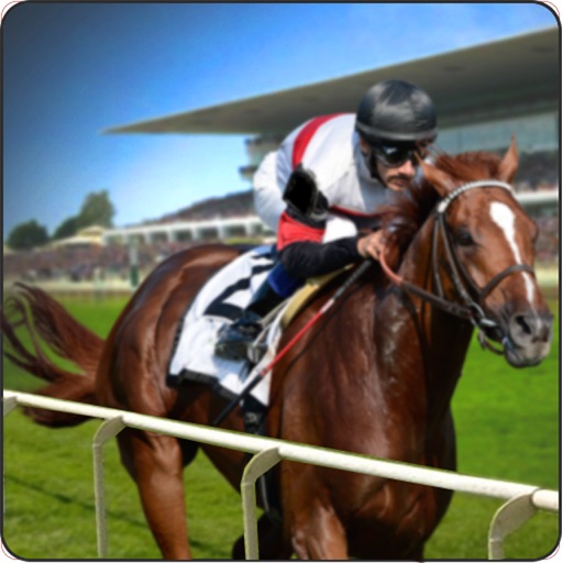 Horse Race 3d