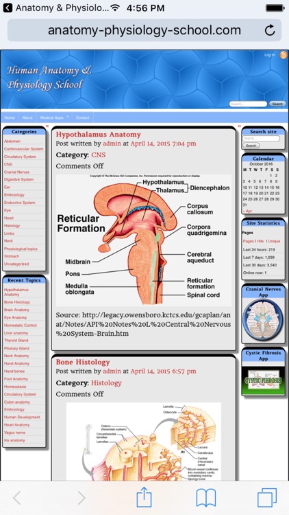 Anatomy & Physiology Study Tips