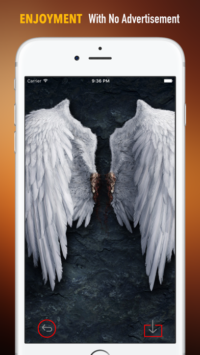 天使の羽の壁紙HD：アート写真のおすすめ画像2
