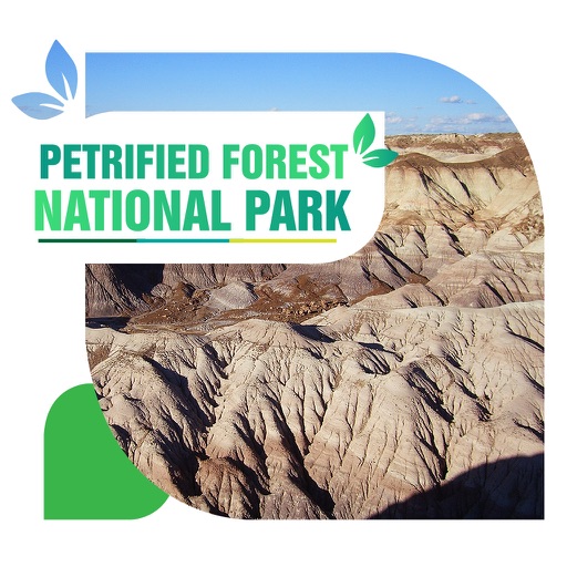 Petrified Forest National Park Tourism Guide icon