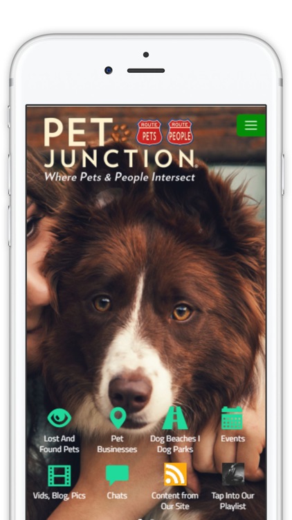 Pet Junction