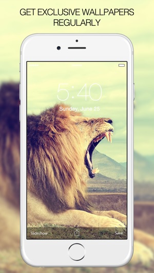 Animal Pictures – Animal Wallpapers & Backgrounds(圖3)-速報App