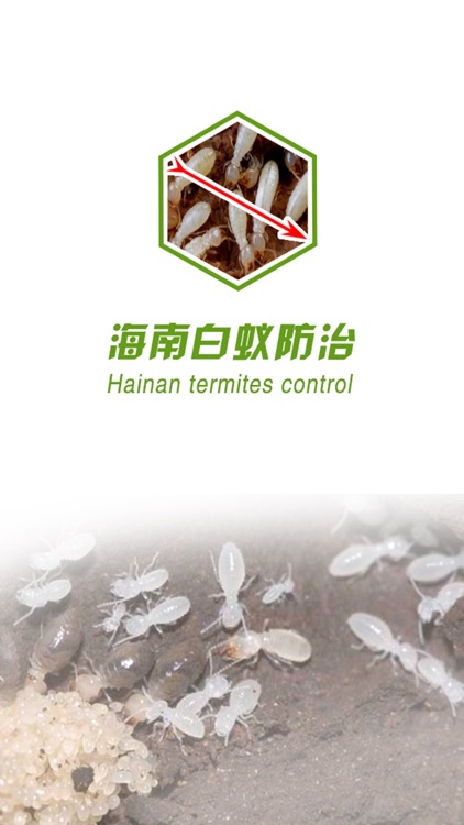 海南白蚁防治
