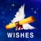 There are many good books how wishes come true