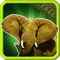 Learn Animal Sounds is an application for youngsters