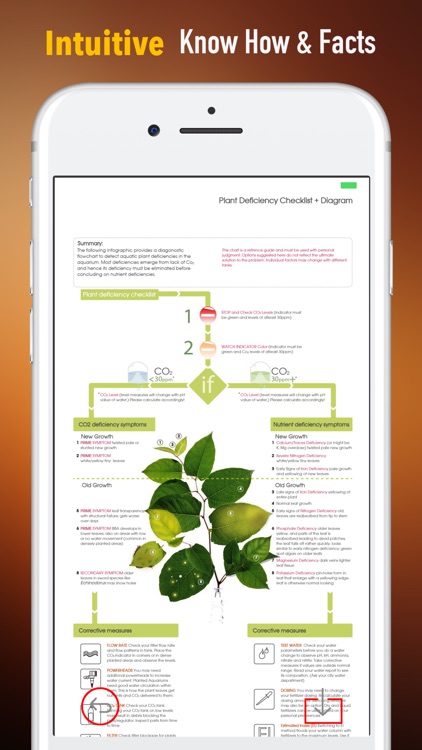 Plant Identification Glossary-Terminology Study