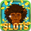 Strong Slot Machine: Earn double gorilla spins