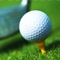 100 Top Golf Courses