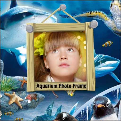 Aquarium Photo Frame Effects Top Sea & Oceanic Pic