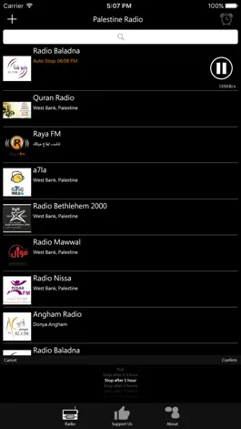 Game screenshot Palestinian Radio hack