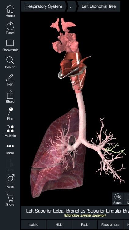 complete anatomy vs essential anatomy 5