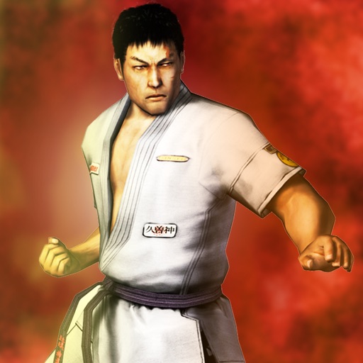 Real Kung Fu Fighting iOS App
