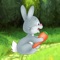 Help the rabbit collect carrots to survive in the wild