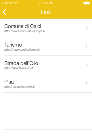 Calci Guide (Pisa) screenshot 4