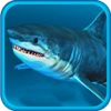 2017 3D underwater Hungry shark hunt