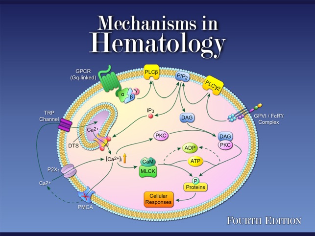 Mechanisms in Hematology(圖1)-速報App