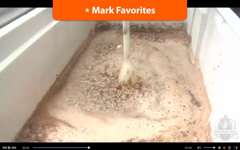 Irish Stout 101 thumbnail 4