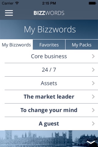 Bizzwords Business English screenshot 2