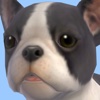 Bulldog - Animated Puppy Stickers
