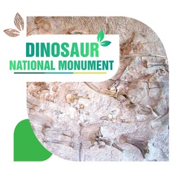 Dinosaur National Monument Travel Guide