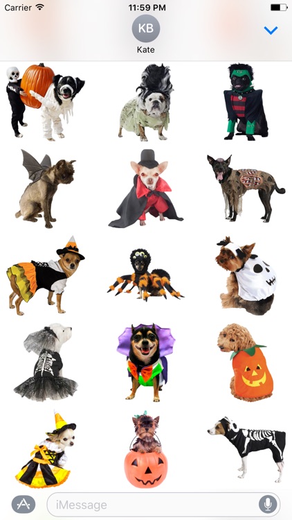 Halloween Dogs