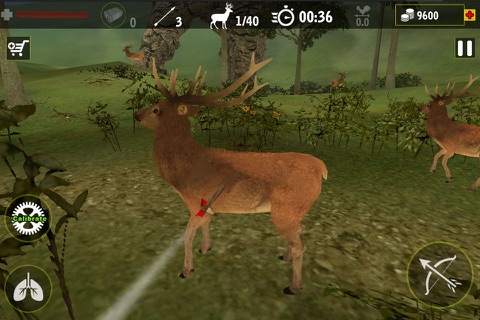 Real Archery King : Top Free Archery Shooting Game screenshot 4