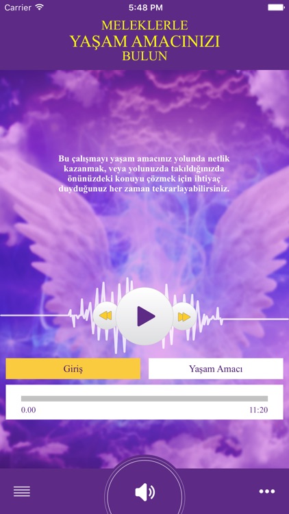 Yaşam Amacı