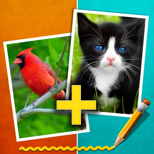Photo Doodle: Selfies Face Clone Picture Editor Icon
